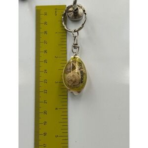 Unbranded | Accessories | Rehoboth Beach Souvenir Keychain Cowrie Shell ...